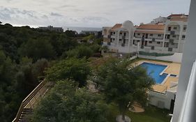 Pacifico Elimar 5 T1